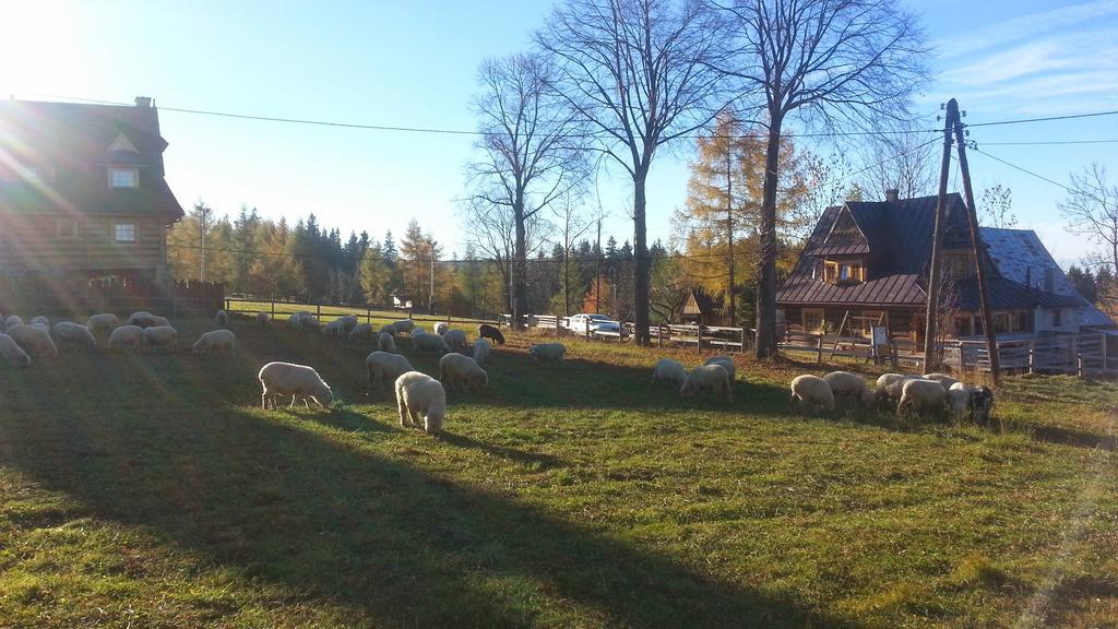 Pompelowka - Chata Na Glubalowce Zakopane Buitenkant foto
